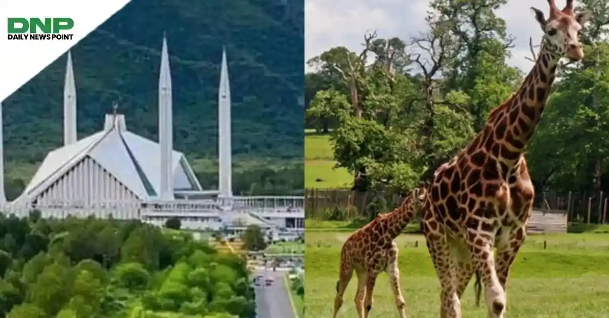 اسلام آباد میں پاکستان کا پہلا ورلڈ کلاس وائلڈ لائف سفاری پارک بنانے کا فیصلہ